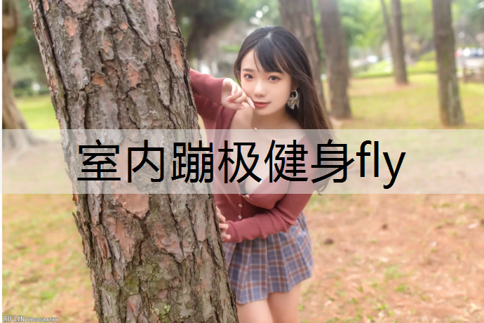 室内蹦极健身fly